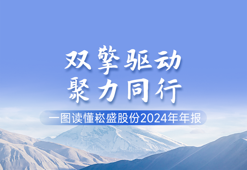 一图读懂 ▏新宝GG股份2024年年报