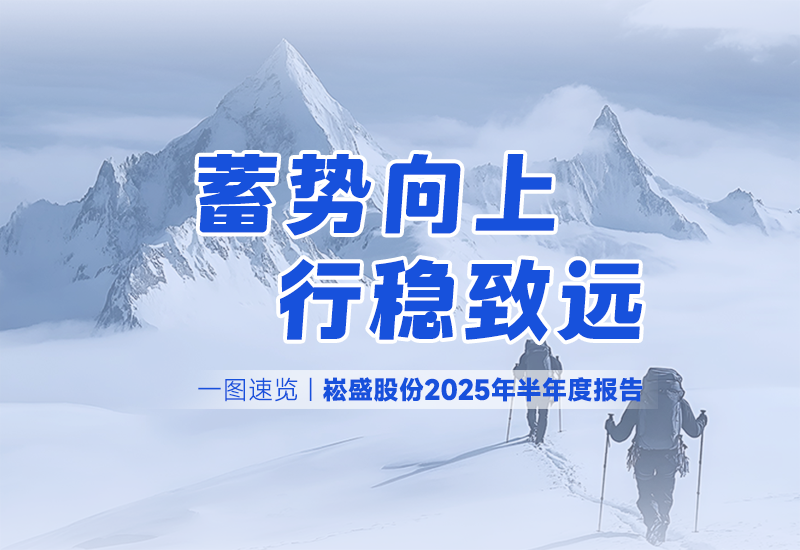 一图速览 | 新宝GG股份2025年半年度报告